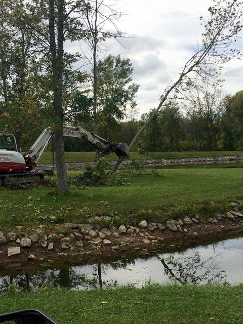 backhoe-next-to-pond Backhoe Next To Pond